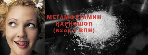 прущие грибы Няндома