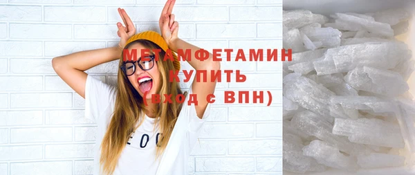 прущие грибы Няндома