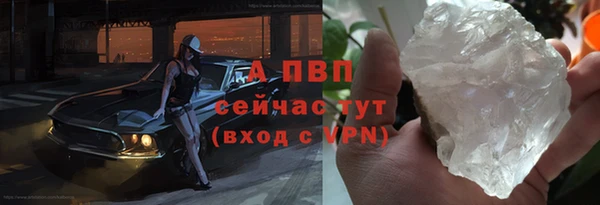 ПСИЛОЦИБИНОВЫЕ ГРИБЫ Новозыбков