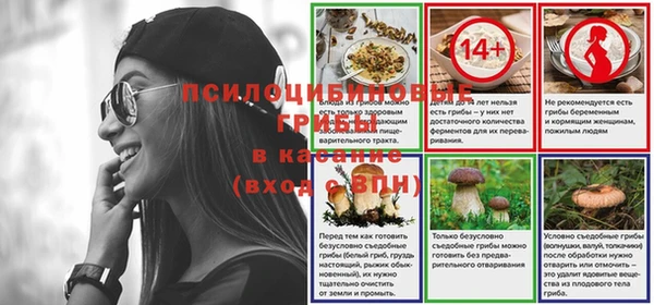 прущие грибы Няндома