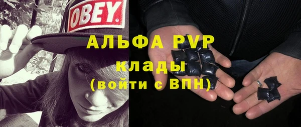 прущие грибы Няндома