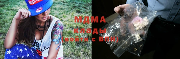 прущие грибы Няндома