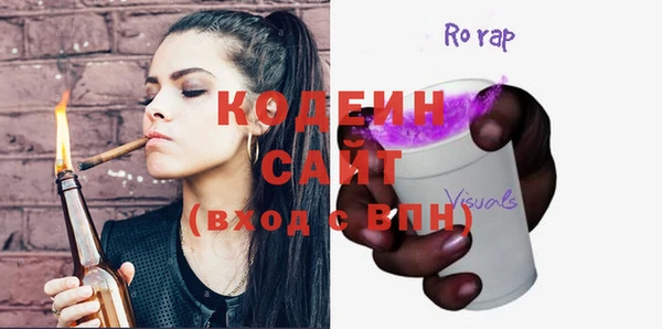 прущие грибы Няндома